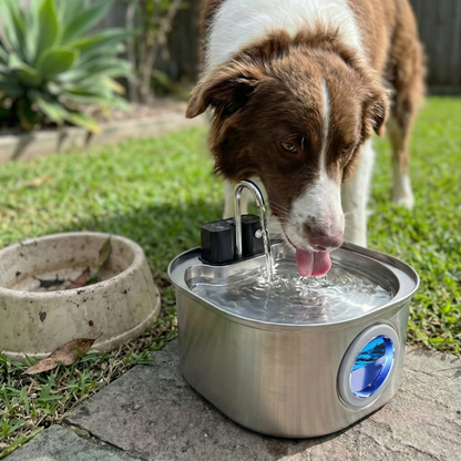 PupFlo™ Fountain Bowl