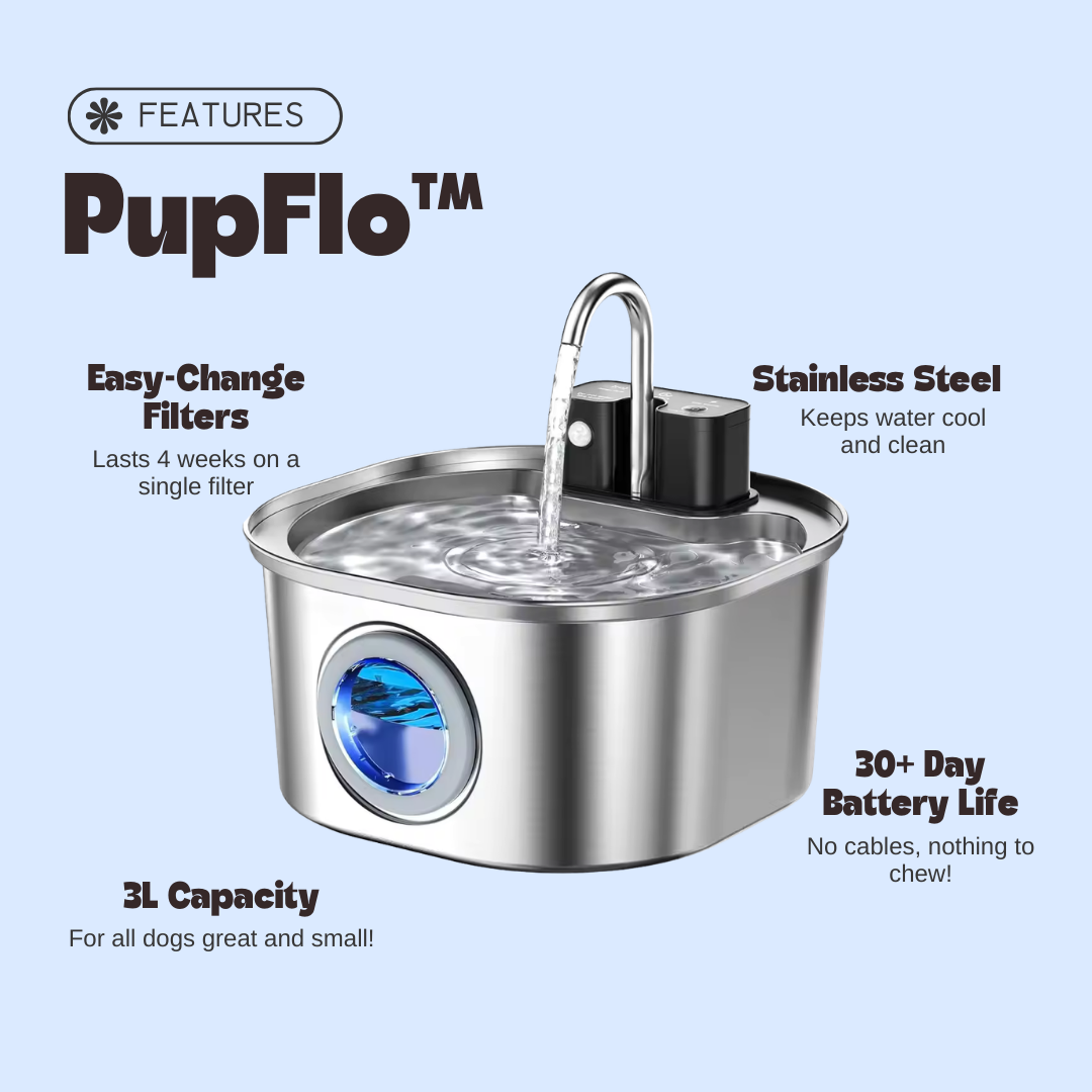 PupFlo™ Fountain Bowl