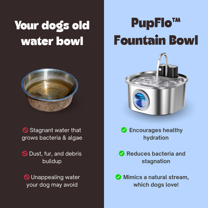 PupFlo™ Fountain Bowl