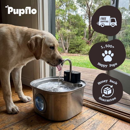 PupFlo™ Fountain Bowl